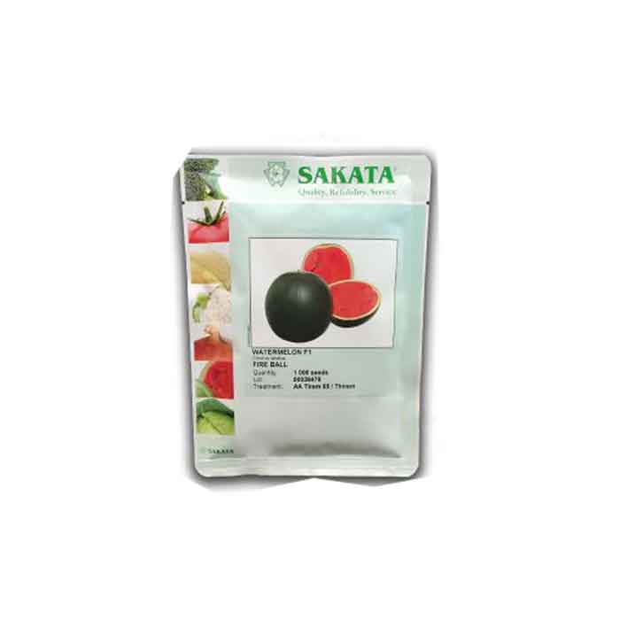 بذر هندوانه شوگربیبی فایربال ساکاتا 1 بذر هندوانه شوگربیبی فایربال ساکاتا