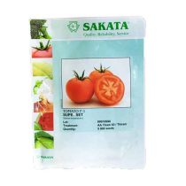 بذر گوجه سوپرست ساکاتا