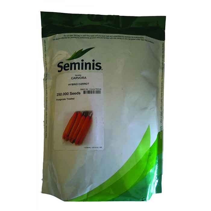 بذر هویج هیبرید کاروورا سمینیس 1 بذر-هویج-هیبرید-کاروورا-سمینیس