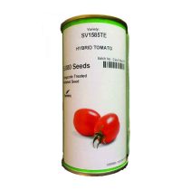 بذر-گوجه-فرنگی-هیبرید-کیسمات-سمینیس