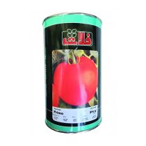 بذر گوجه فرنگی پریمو فلات