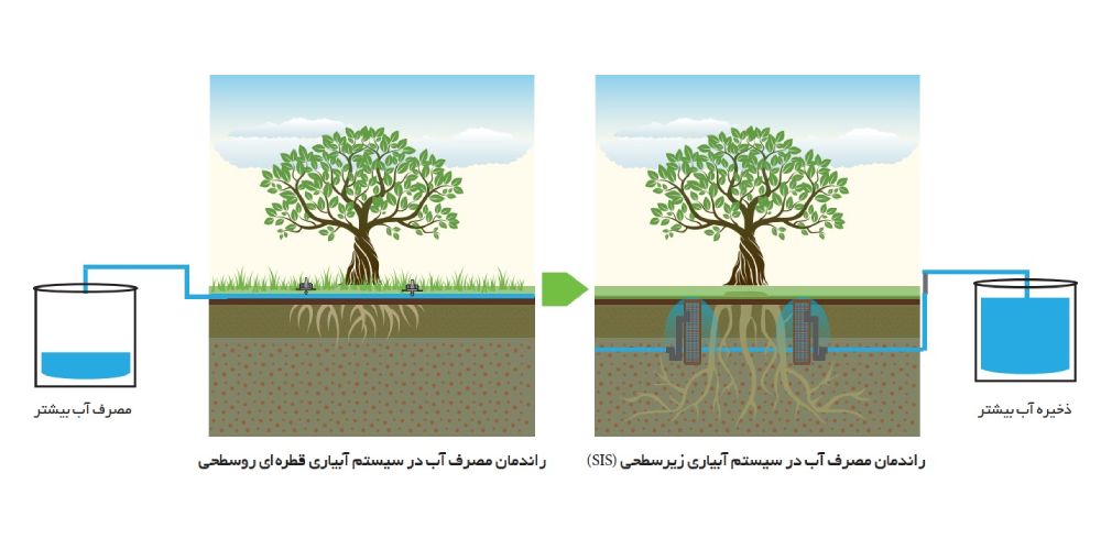 کاهش مصرف آب در سیستم آبیاری زیر سطحی