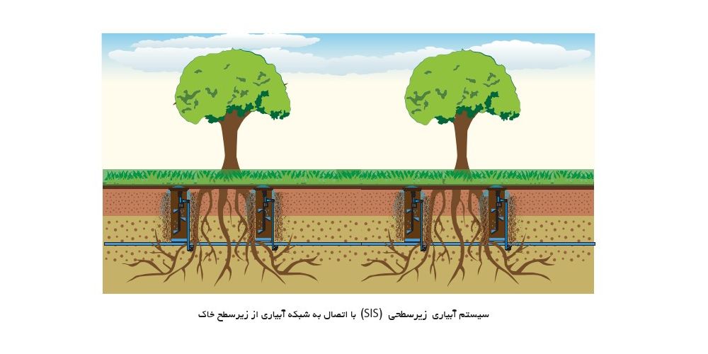آبیاری زیر سطحی درخت و درختچه