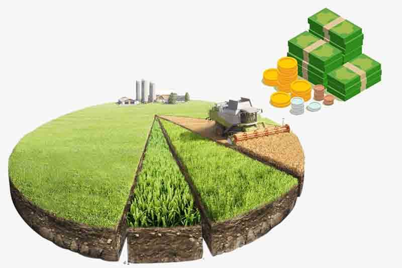 نقش اقتصاد کشاورزی در توسعه