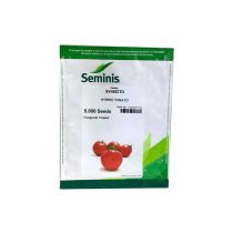 بذر گوجه فرنگی شرکت سمینیس 4592