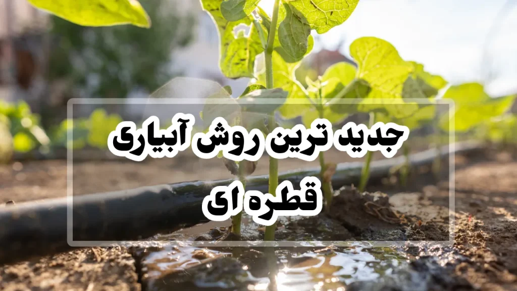 جدید ترین روش آبیاری قطره ای