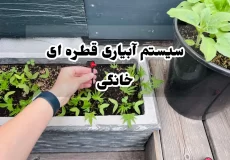 سیستم آبیاری قطره ای خانگی