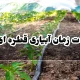 مدت زمان آبیاری قطره ای