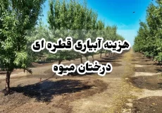 هزینه آبیاری قطره ای درختان میوه