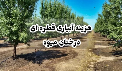 هزینه آبیاری قطره ای درختان میوه