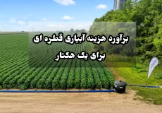 برآورد هزینه آبیاری قطره ای برای یک هکتار