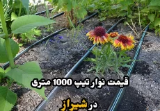 قیمت نوار تیپ 1000 متری شیراز