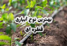 بهترین نوع آبیاری قطره ای