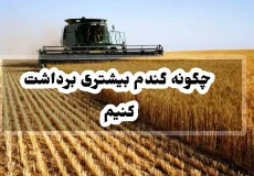 چگونه گندم بیشتری برداشت کنیم