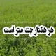 هر هکتار چند متر است