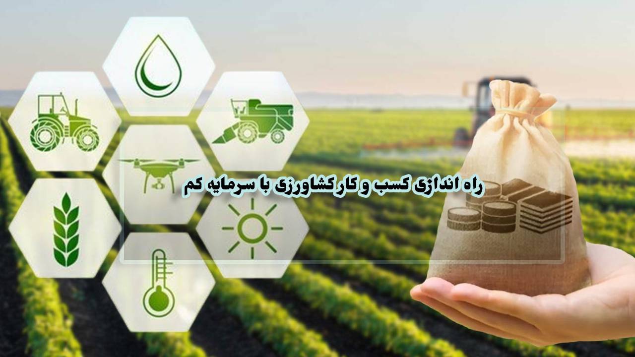 راه اندازی کسب و کار کشاورزی با سرمایه کم