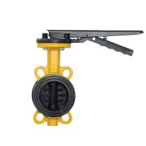 شیر پروانه ای چدنی 10 بار ویسپار