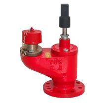 شیر آتش نشانی دفنی وگ بی همتا