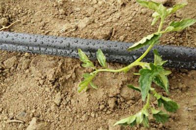 نوار تیپ بغل دوخت تی اف پی tfp