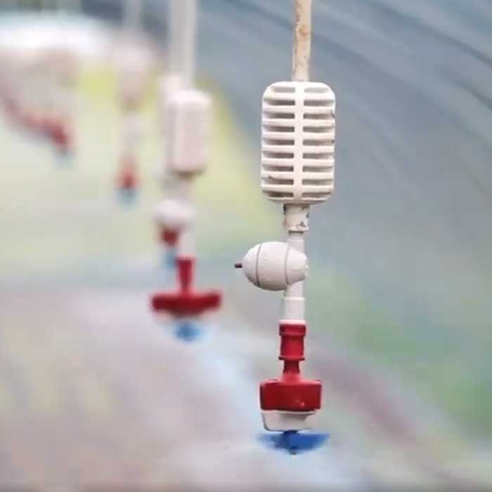 وزنه مه پاش ورسک