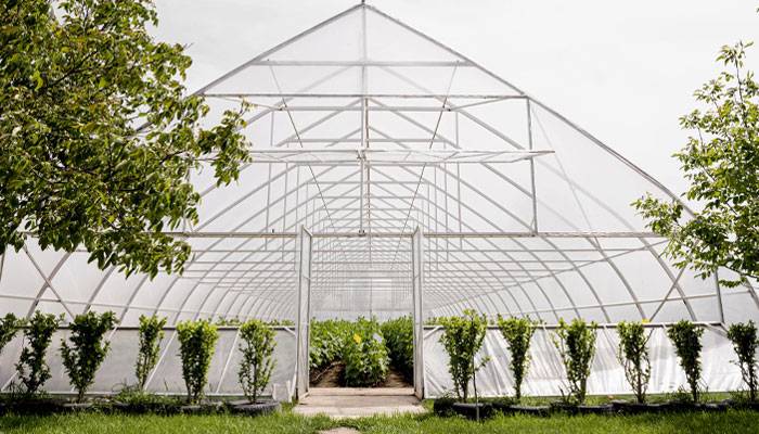 پلاستیک گلخانه ای سه لایه 14 متری رخ پلاستیک