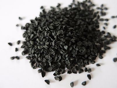 Scallion-seeds-05