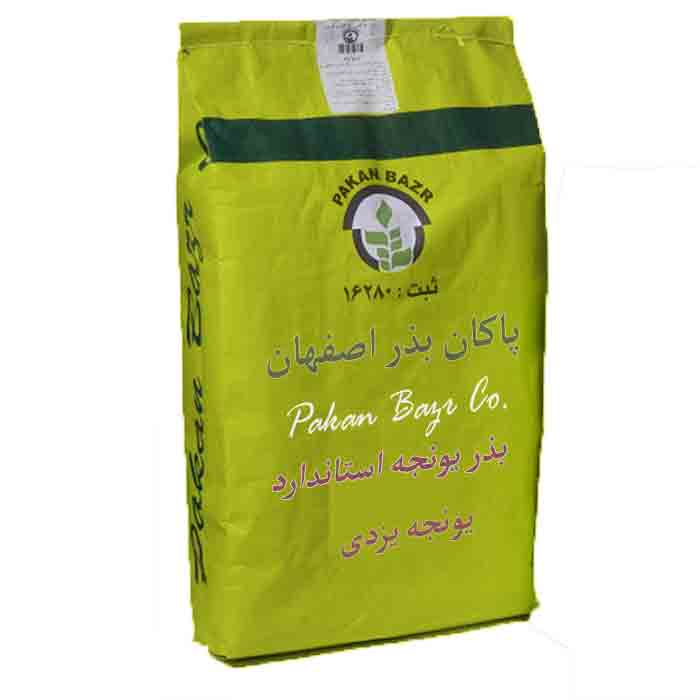 dasd23123