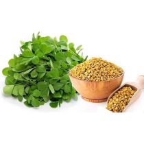 بذر شنبلیله اردستانی گواهی شده پاکان بذر اصفهان