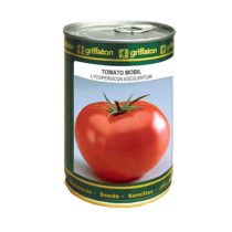 بذر گوجه باران ابتین گستر