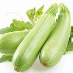 بذر کدو وایت بوش هد 1 بذر کدو وایت بوش هد