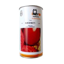 بذر-گوجه-فرنگی-6189-نانهمز