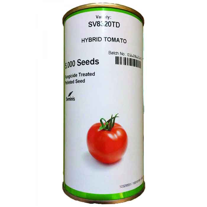 بذر گوجه فرنگی هیبرید 8320 سمینیس 1 بذر گوجه فرنگی هیبرید 8320 سمینیس