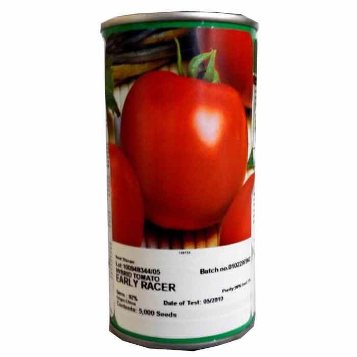 بذر گوجه فرنگی هیبرید ارلی ریسر سمینیس 1 بذر گوجه فرنگی هیبرید ارلی ریسر سمینیس