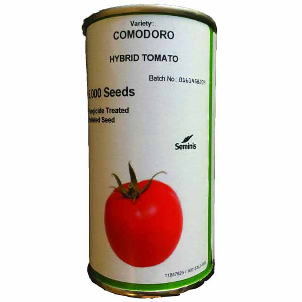 بذر گوجه فرنگی هیبرید کومودورو سمینیس 1 بذر گوجه فرنگی هیبرید کومودورو سمینیس