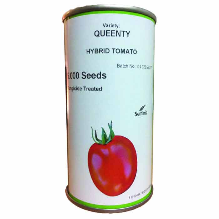 بذر گوجه فرنگی هیبرید کویینتی سمینیس 1 بذر گوجه فرنگی هیبرید کویینتی سمینیس