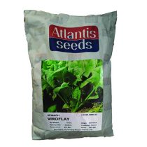 بذر-اسفناج-ویروفلای-آتلانتیس