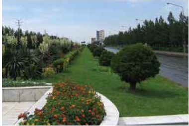 آبیاری زیر سطحی