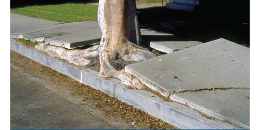 خسارات ناشی از عدم استفاده از سیستم آبیاری زیر سطحی