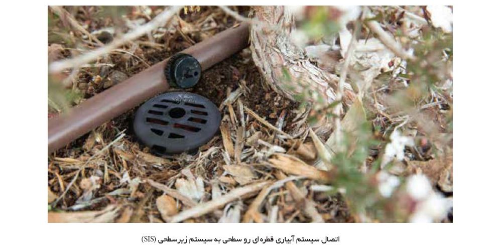 آبیاری زیر سطحی نمونه عکس