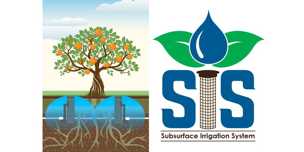 آبیاری زیر سطحی درختان میوه