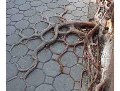 ﺧﺴﺎرت ﻧﺎﺷﻰ از ﻋﺪم اﺳﺘﻔﺎده از ﺳﯿﺴﺘﻢ آﺑﯿﺎرى زﯾﺮ ﺳﻄﺤﻰ 3