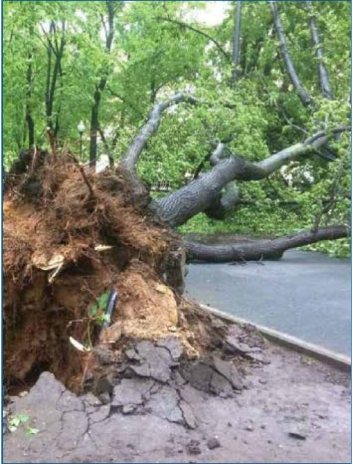 ﺧﺴﺎرت ﻧﺎﺷﻰ از ﻋﺪم اﺳﺘﻔﺎده از ﺳﯿﺴﺘﻢ آﺑﯿﺎرى زﯾﺮ ﺳﻄﺤﻰ 5