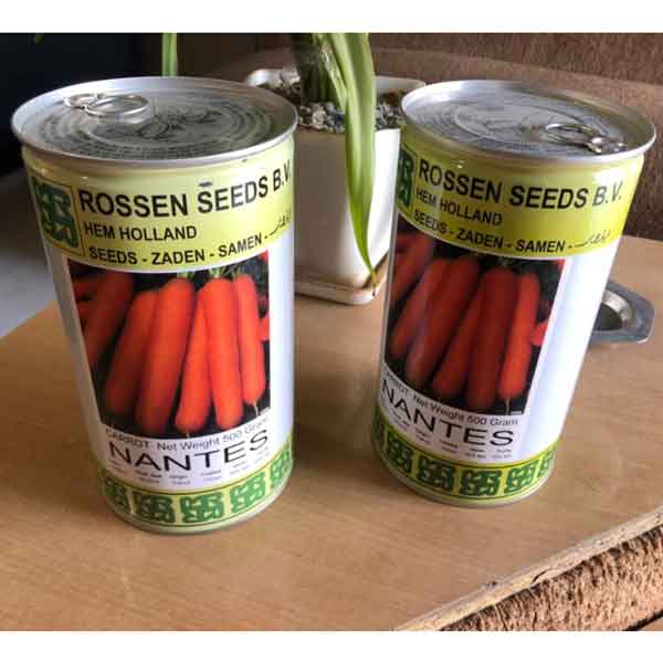 بذر هویج استاندارد نانتس روزن سید