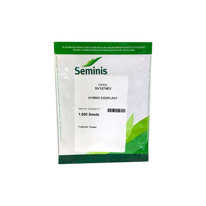بذر بادمجان هیبرید SV 1574 سمینیس 1 بادمجان هیبرید سمینیس کیفیت عالی