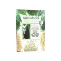 بذر بادمجان شرکت گاوریش روسیه