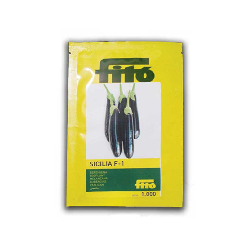 Eggplant Sicilia