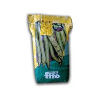 فیتو اسپانیا Fito Spain