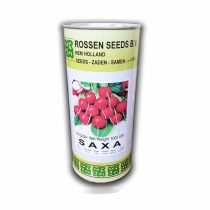 بذر تربچه استاندارد ساکسا