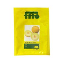 بذر ملون فنومنون شرکت فیتو اسپانیا