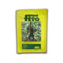 بذر خیرا ماهور شرکت فیتو در پایار پلیمر